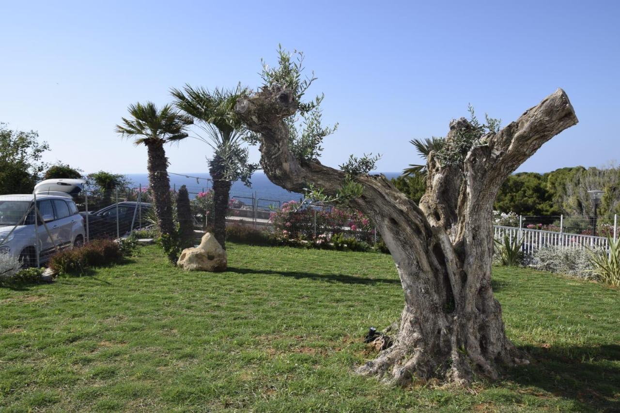 Cocciu D'Amuri Terrasini Dış mekan fotoğraf