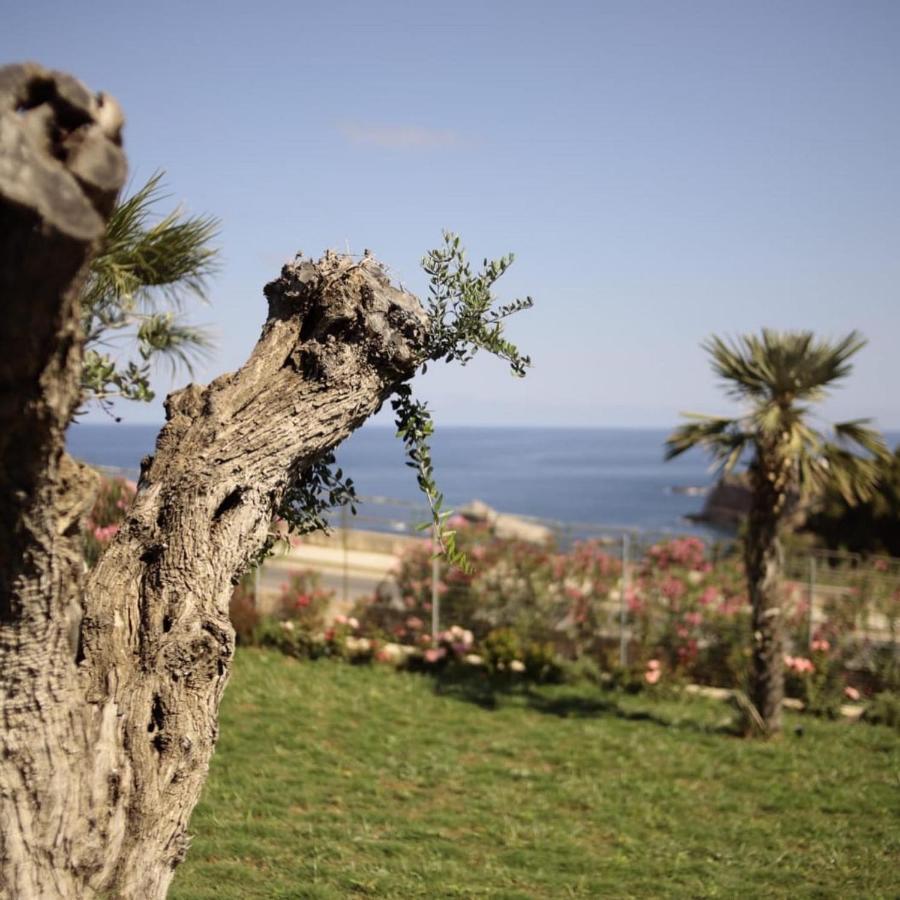 Cocciu D'Amuri Terrasini Dış mekan fotoğraf